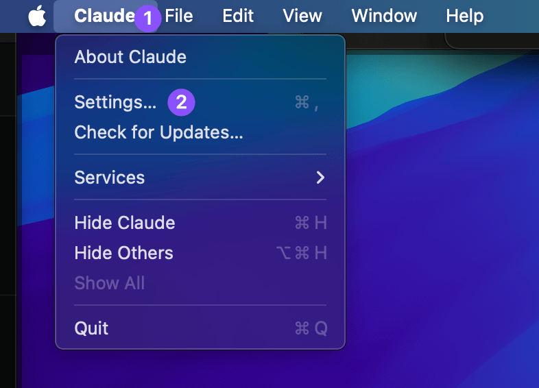 Claude Desktop settings